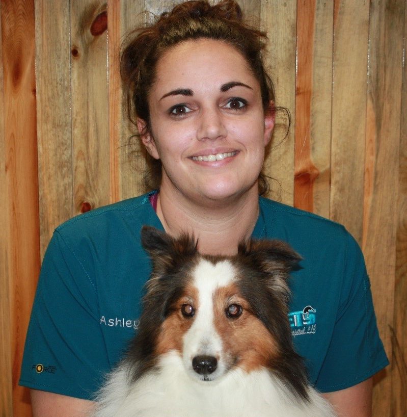 Veterinarian in Windsor The Vets Animal Hospital