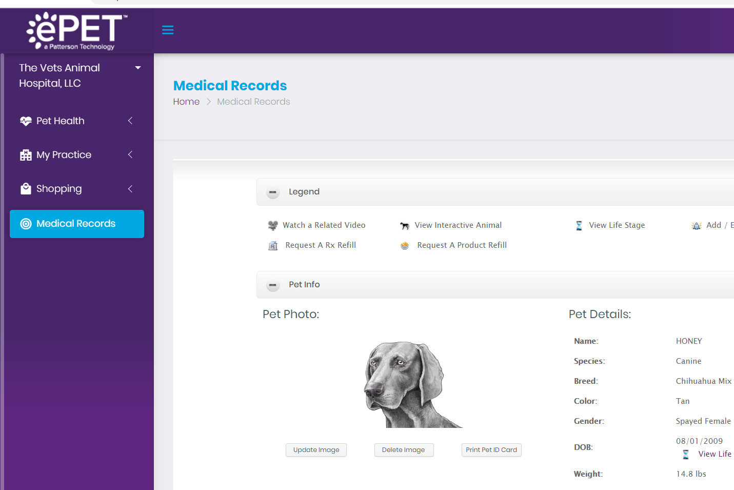 My Pet Records Online Portal The Vets Animal Hospital