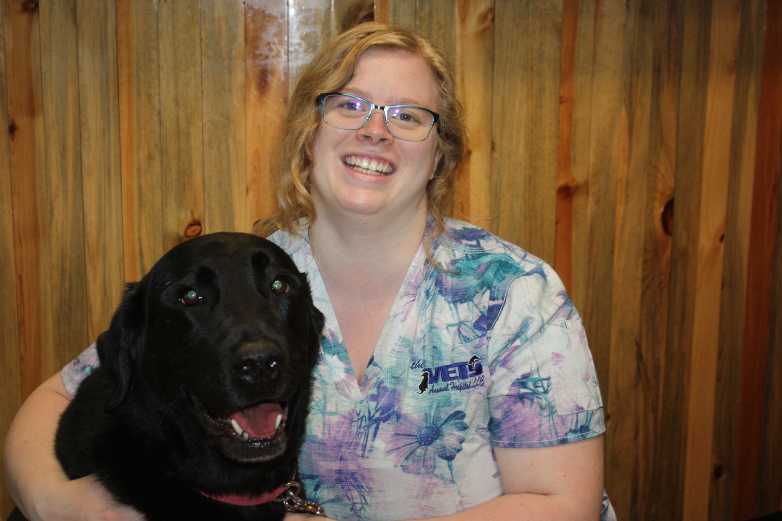 Dr. Carson Veterinary Team The Vets Animal Hospital