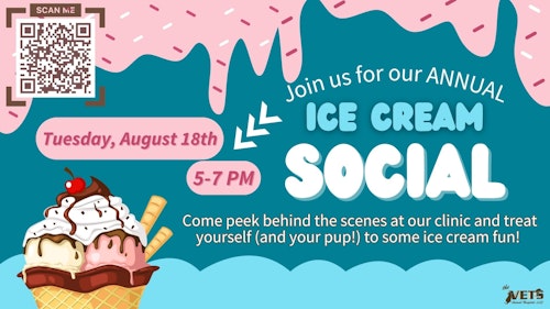 pet ice cream social